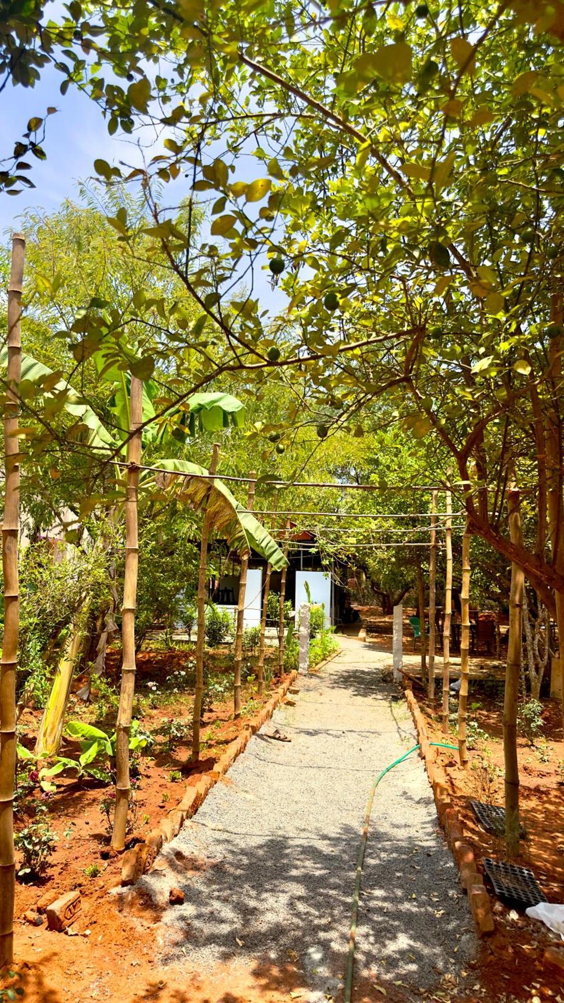 Lotus Garden Guest House 오로빌 외부 사진
