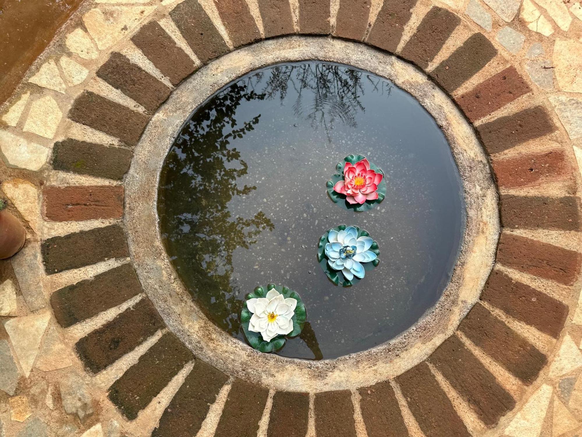 Lotus Garden Guest House 오로빌 외부 사진